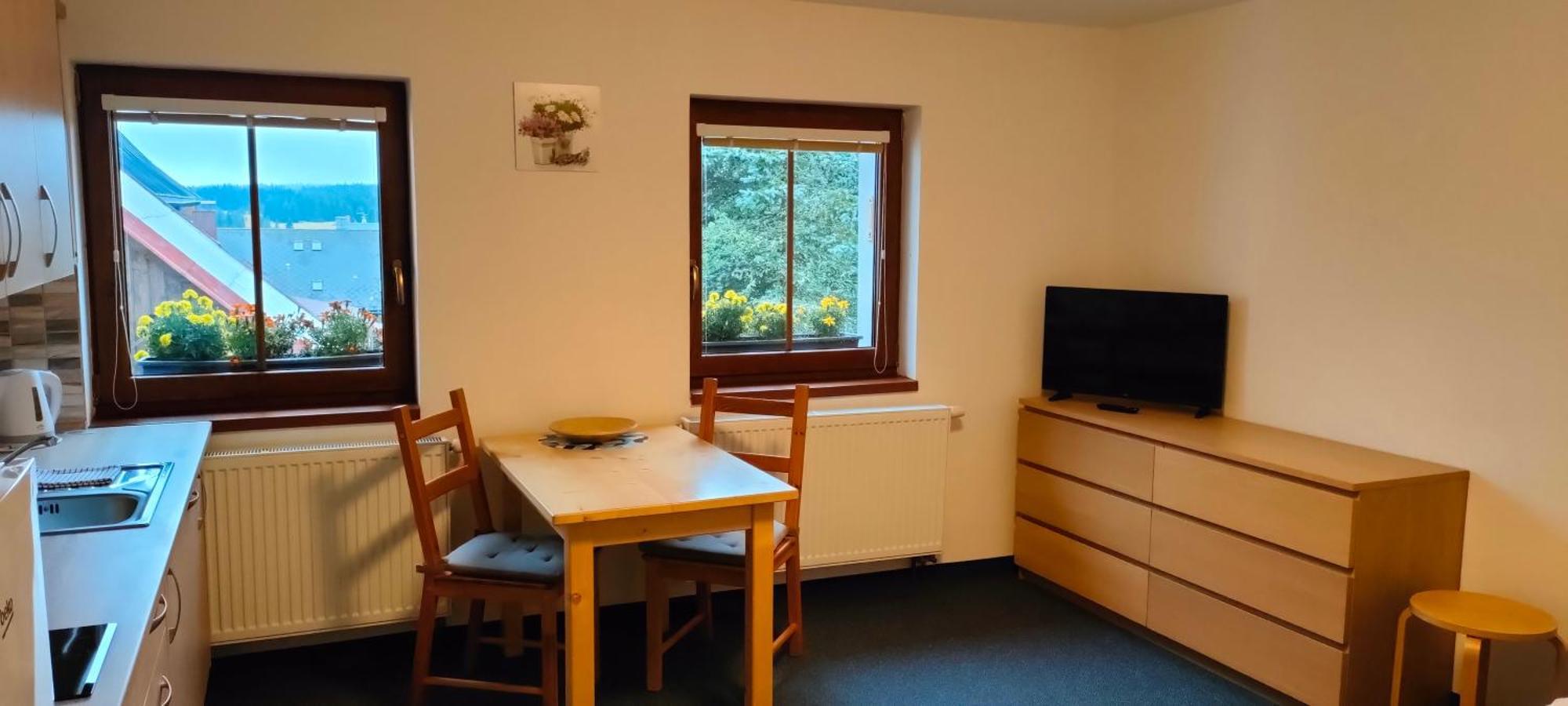 Apartmany Na Namesti Boží Dar Εξωτερικό φωτογραφία